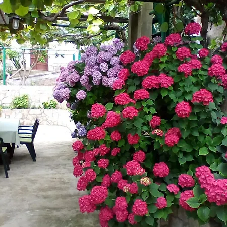 Prázdninový dům Marijeta